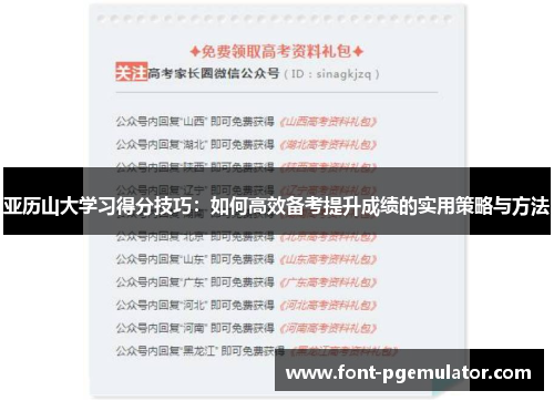 亚历山大学习得分技巧：如何高效备考提升成绩的实用策略与方法