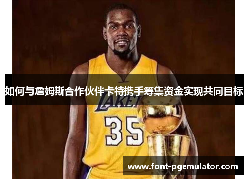 如何与詹姆斯合作伙伴卡特携手筹集资金实现共同目标