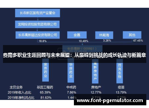 费南多职业生涯回顾与未来展望：从巅峰到挑战的成长轨迹与新篇章