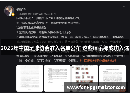 2025年中国足球协会准入名单公布 这些俱乐部成功入选