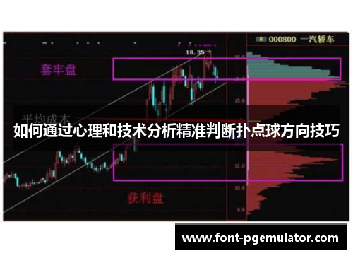 如何通过心理和技术分析精准判断扑点球方向技巧