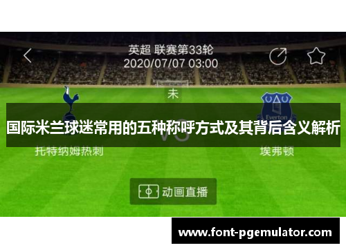 国际米兰球迷常用的五种称呼方式及其背后含义解析