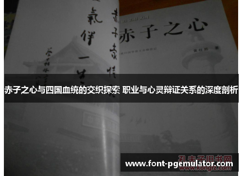 赤子之心与四国血统的交织探索 职业与心灵辩证关系的深度剖析