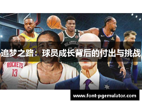 追梦之路：球员成长背后的付出与挑战