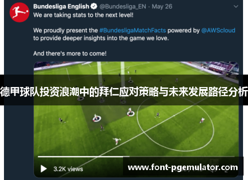 德甲球队投资浪潮中的拜仁应对策略与未来发展路径分析