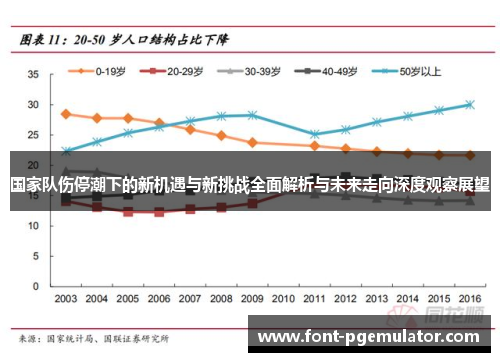 国家队伤停潮下的新机遇与新挑战全面解析与未来走向深度观察展望