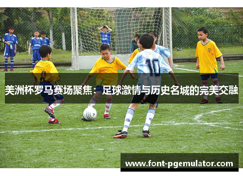 美洲杯罗马赛场聚焦：足球激情与历史名城的完美交融