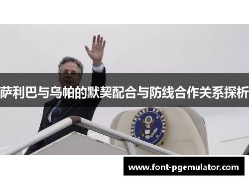 萨利巴与乌帕的默契配合与防线合作关系探析